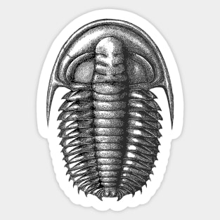 Cambrian trilobite - Estaingia bilobata Sticker